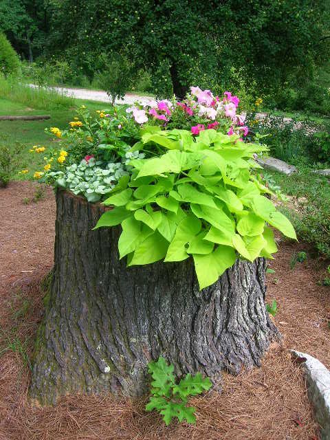a tree stump with greenery and bright blooms is a catchy and stylish decoration for a garden, it's a bold and cool solution to DIY