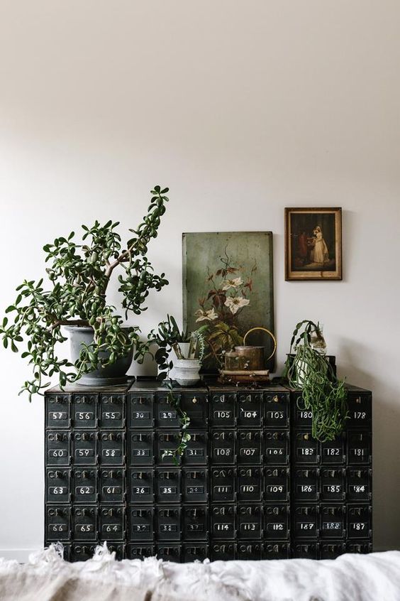 a gorgeous black vintage card cabinet with potted plants and vintage artwork will instantly turn your space in a refined vintage one