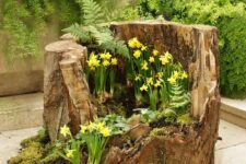 a cute outdoor planter of a tree stump