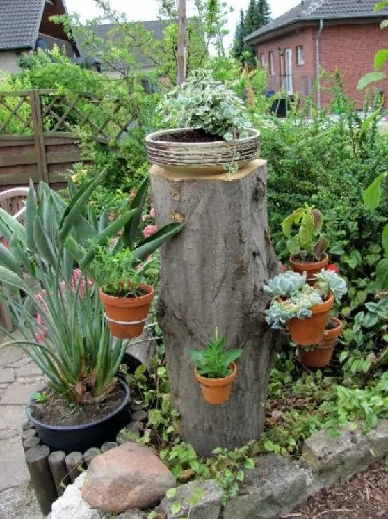 a tree stump with planters attached and a bowl on top is a gorgeous planter stand to rock, looks nice and unusual