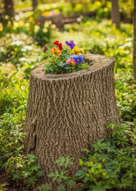 a tree stump with some bold blooms inside is a perfect and all-natural decoration for any garden
