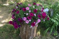29 a tree stump with super bright blooms and greenery is a gorgeous idea for any rustic garden and it will accessorize your space in a cool way