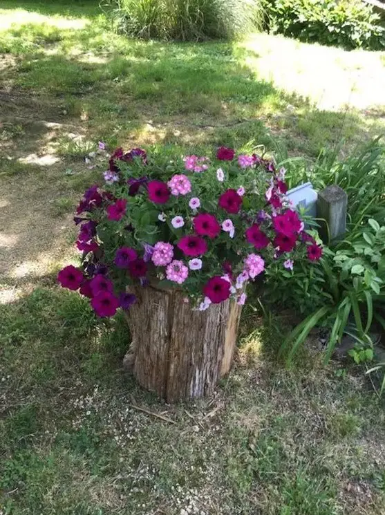 a tree stump with super bright blooms and greenery is a gorgeous idea for any rustic garden and it will accessorize your space in a cool way