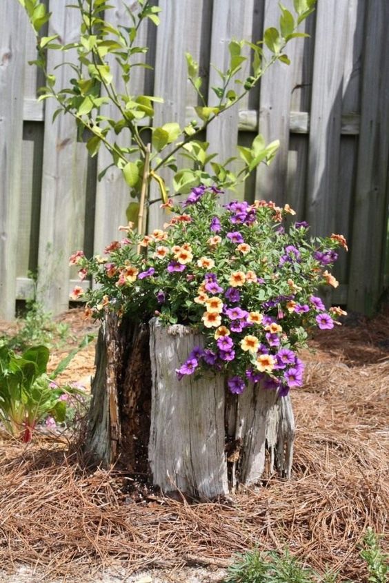 an old stump with yellow and purple blooms and greenery is a very eye catchy decoration due to the contrast