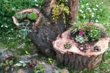34 a bold arrangement of several tree stumps and logs that are planters with succulents and blooms