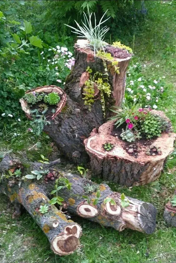 a bold arrangement of several tree stumps and logs that are planters with succulents and blooms