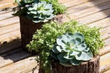 36 tree stumps with greenery, succulents and white blooms are amazing for a rustic garden space, they look natural and pretty