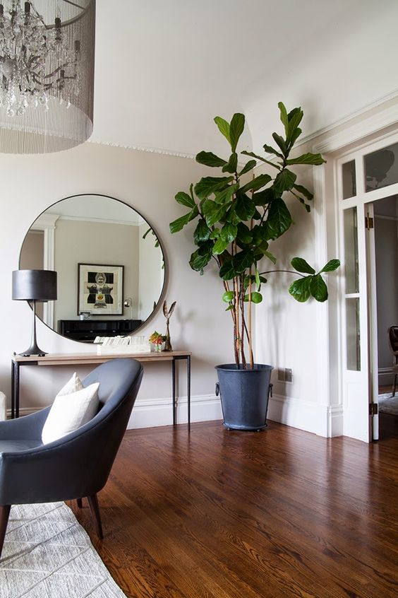 a modern living room with grey furniture, a sleke console table, a round mirror, a statement plant in the corner