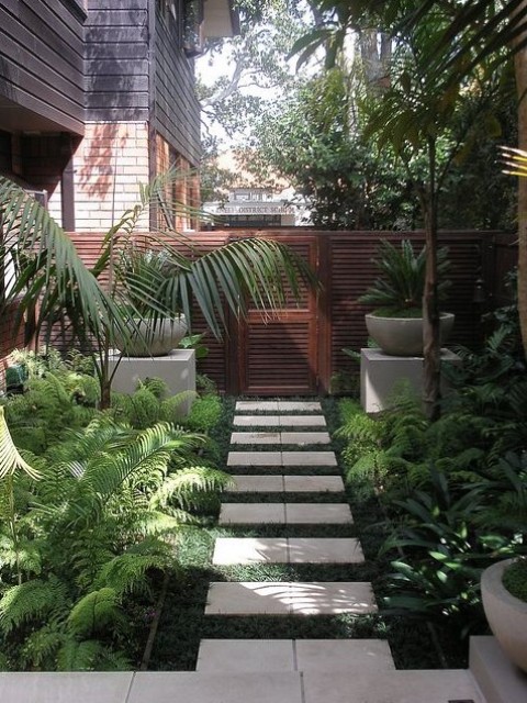 a small and lush tropical garden with lots of greenery, ferns and tropical plants in pots and on the ground