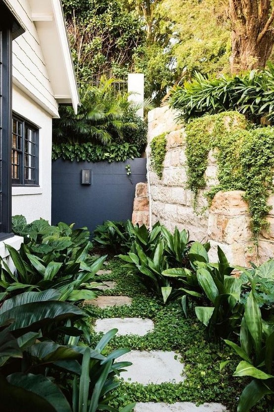 a small modern garden nook with greenery, some lush tropical shrubs on both sides of the pavement