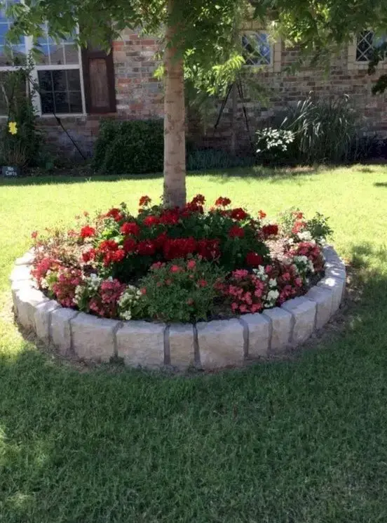 a super bold raised garden bed accents the tree and adds color to the garden making it brighter, these flowers aren't damaged by excessive sunshine