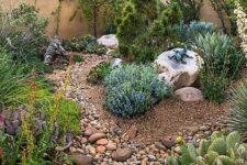 09 small pebbles, large ones and rocks of various sizes are great for hardscaping in a desert garden, they look cool