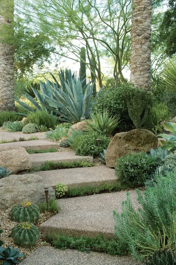 stone steps, large rocks, small lights and large agaves and cacti are amazing for creating a desert landscape