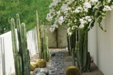 12 a beautiful desert garden with large rocks lining up the space, with round and post cacti, with pebbles and rocks is a cool space