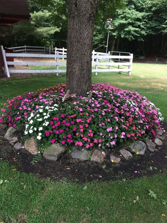 a tree surrounded with bright blooms and greenery and with a stone edge is a cool idea to add color to your garden