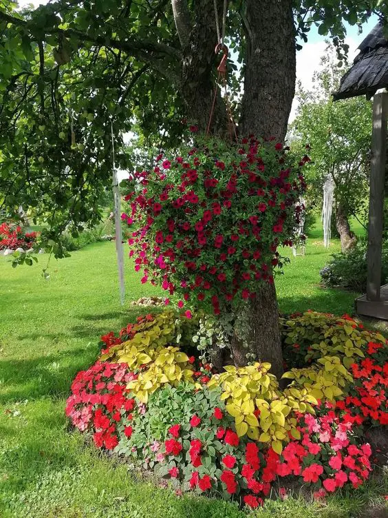 a tree surrounded with super bright red, pink blooms, greenery and yellow plants, with a planter with lots of red blooms in it