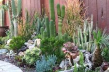 15 a gorgeous desert garden with layered plantings – cacti, succulents, agaves and even driftwood and pebbles for decor
