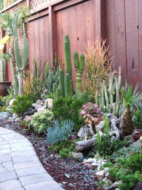 a gorgeous desert garden with layered plantings   cacti, succulents, agaves and even driftwood and pebbles for decor