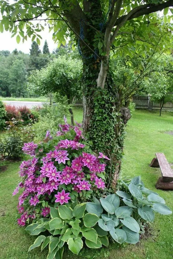 a tree with vines on it, with greenery and bold pink blooms on the ground is a lovely idea that catches an eye