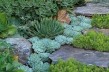 a lovely rock cacti garden idea