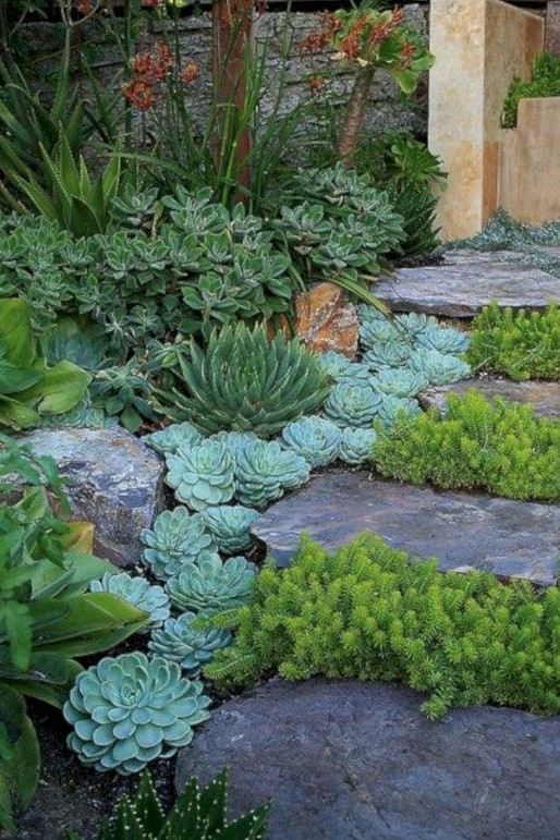 rough rock steps with succulents and other plants growing in between for a cool look