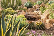 17 post cacti and large and bold ones, agaves, bold blooms and large rocks are a great combo for a desert garden, it looks spectacular