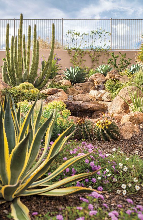 post cacti and large and bold ones, agaves, bold blooms and large rocks are a great combo for a desert garden, it looks spectacular