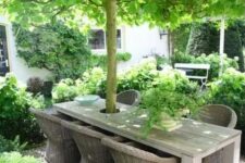 19 a gorgeous garden dining space right around the tree, with a stained table and wicker chairs, lots of greenery around