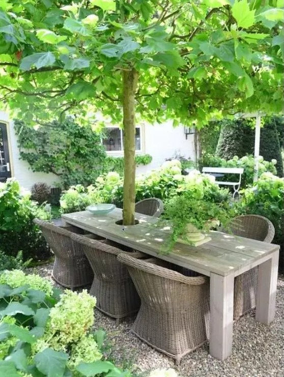 a gorgeous garden dining space right around the tree, with a stained table and wicker chairs, lots of greenery around