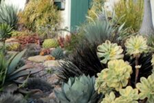 20 a bold and lush desert garden with large succulents, cacti posts, agaves and large rocks is a fantastic space with bold landscaping