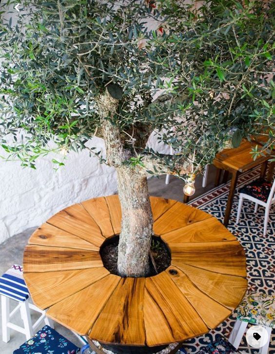 a living tree surrounded with a wooden table, with stools around is a creative dining space for outdoors