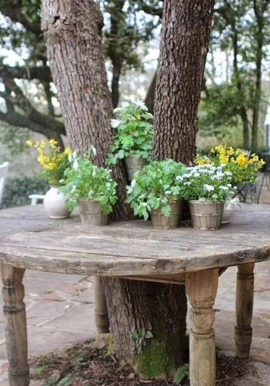 a potting bench around the tree, with lots of potted greenery and blooms is a lovely idea for your garden, a fresh space for gardening