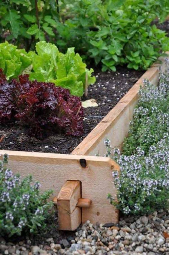 simple wooden garden bed edging can be DIYed and it will add a rustic feel to the space making it cozier and cuter
