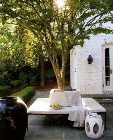 a soft white bench surrounding a living tree is comfortable to sit on, and a couple of blankets will make it even cooler