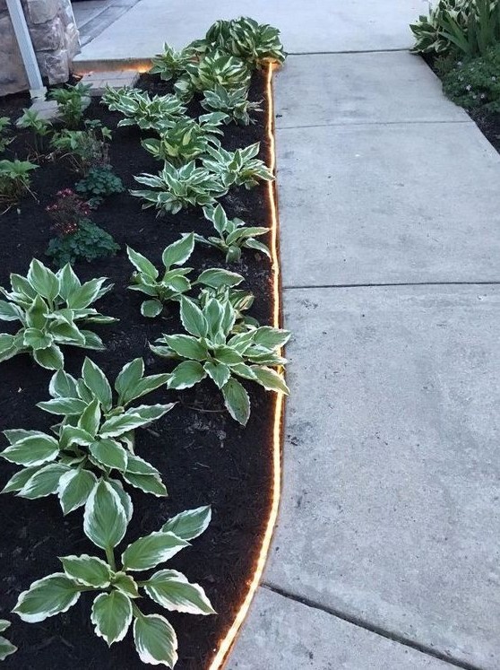 LED lights as garden edging is a very neat and chic idea to bring an ultimate modern look to the space