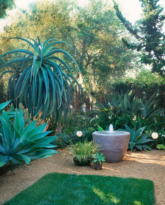 a bold garden with oversized agaves, with paper lanterns and a large bowl fountain is a lovely space to be in
