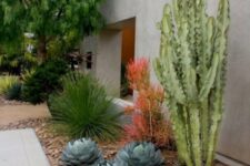 27 a large post cactus is combined with large round succulents and agaves around