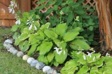 27 large seashell garden edging is a cool idea for a seaside or coastal garden, it looks unusual and lovely
