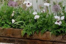 27 wooden slab garden bed edging is a cool idea for a rustic garden, it can add a cozy rustic feel to the space
