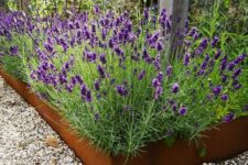 28 patina metal garden bed edging with bright purple blooms composes a gorgeous combo