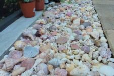 28 seashell garden edging is a very natural and proper idea for a seaside or coastal garden, it looks cool and lovely