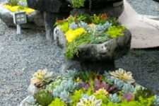29 bright yellow and green succulents, cacti and agaves are amazing to add a colorful touch