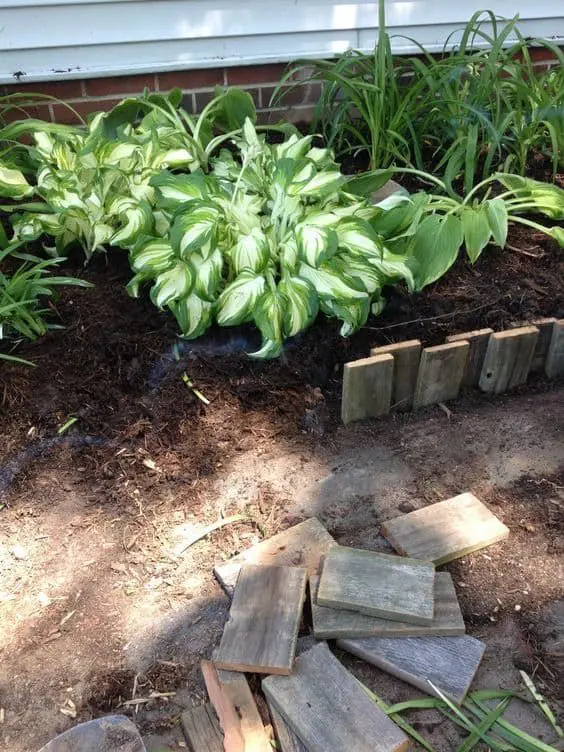 simple reclaimed wood garden edging is a cool idea for a rustic space, you can upcycle some old piece easily