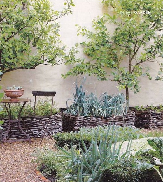 basket garden beds with various types of greenery for a chic Mediterranean inspired garden