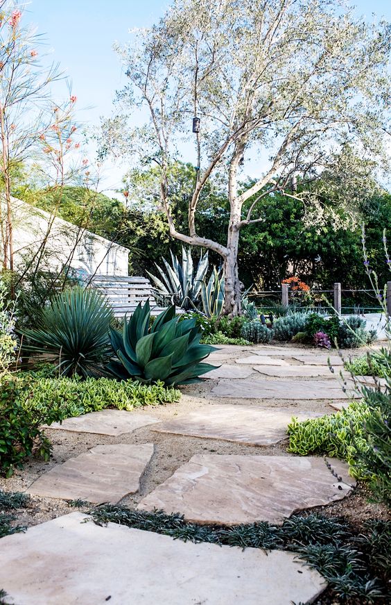 oversized agaves like these ones will definitely add to the curb appeal of your garden