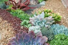 33 smaller and larger succulents of various shades and looks combined to create a cohesive look