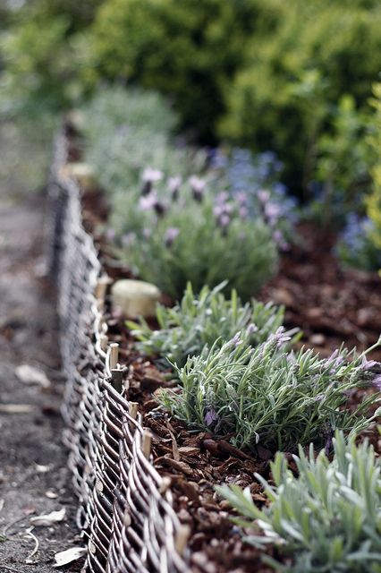 woven garden edging is a stylish idea for a garden, it will bring a cozy rustic feel to the space, and will make it sweeter
