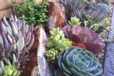 34 statement green, purple and burgundy succulents paired with large rocks and smaller pebbles are a great combo for a garden
