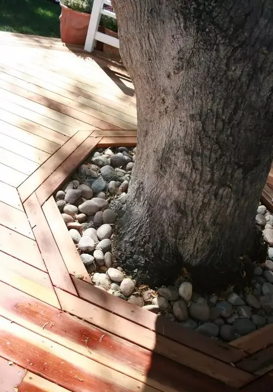 a living tree surrounded with a deck and accented with large pebbles is a lovely idea for any garden or outdoor space