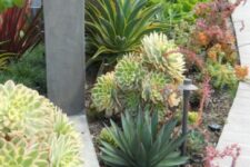 35 bold and chic succulents combined with agaves in various shades of green and yellow